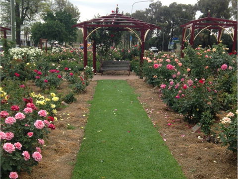 Cowra Rose Garden - C Tourism 1