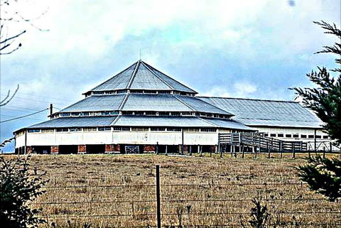 Deeargee Woolshed - C Tourism 0
