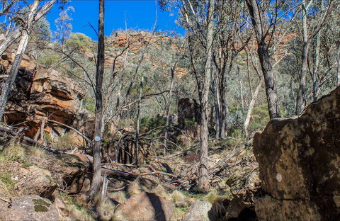 Eualdrie Walking Track - C Tourism 0
