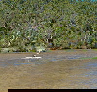 Fitzpatrick Park - C Tourism