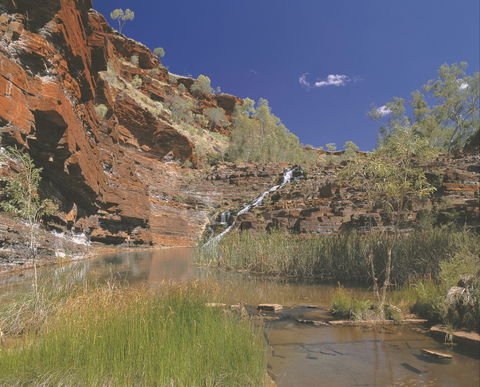 Fortescue Falls - C Tourism 1