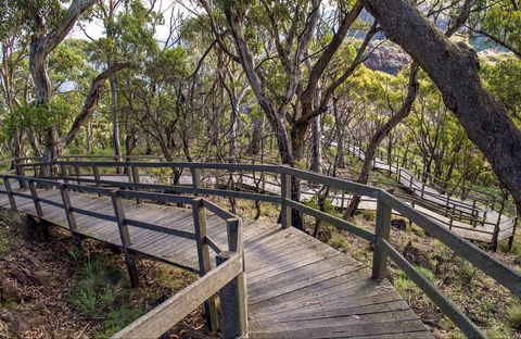 Governor Summit (Corrunbral Borawah) Walking Track - C Tourism 0