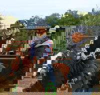 Horse Riding Lessons and Trail Rides - C Tourism