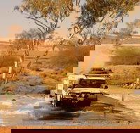 Innamincka Regional Reserve - C Tourism