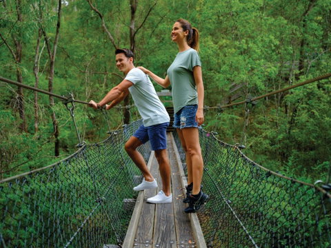 Jarrahland Wildflower Trail - C Tourism 2