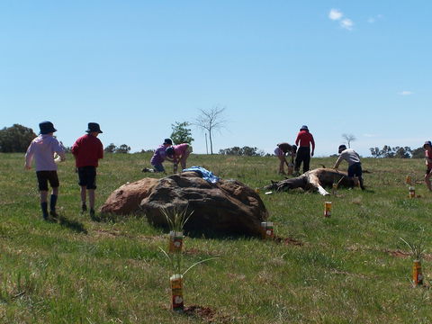 Jim Salmon  Wetland Education Site - C Tourism 0