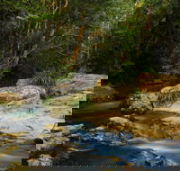 Jumrum Creek Walk Jumrum Creek Conservation Park - C Tourism