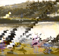 Lake Alford Recreational Park - C Tourism