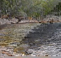 Lake Rowallan - C Tourism