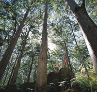 Leeuwin-Naturaliste National Park - Leeuwin - C Tourism