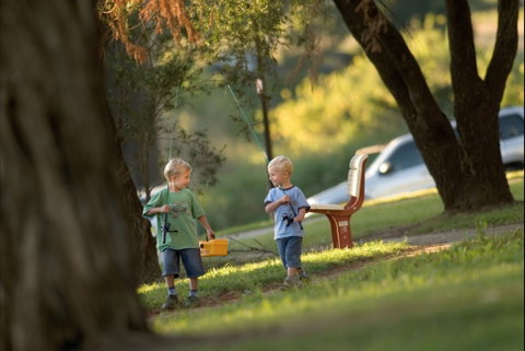 Lismore Lake Walk - C Tourism 0