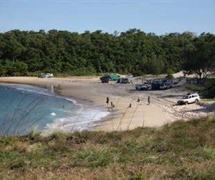 Little Bondi Beach - C Tourism 2