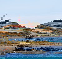 Low Head - C Tourism