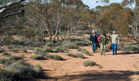 Mallee Stop Walking Track - C Tourism 0