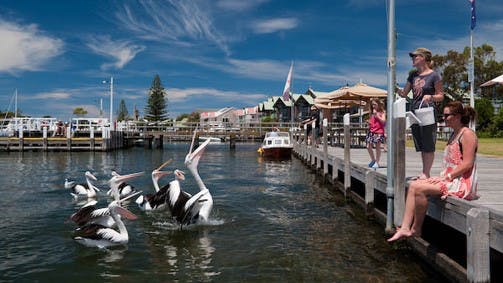 Metung VIC C Tourism