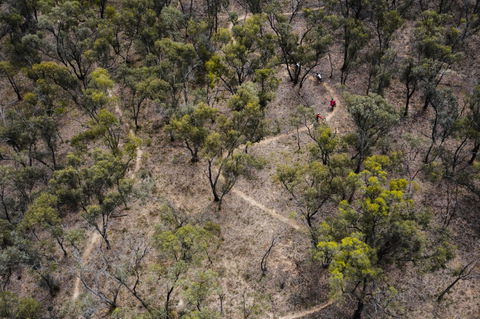 Mountain Bike Trails Deniliquin - C Tourism 1