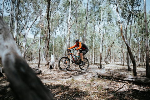 Mountain Bike Trails Deniliquin - C Tourism 2