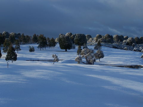 Mountain Vista Golf Club - C Tourism 2