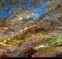 Mount Grenfell Historic Site - C Tourism