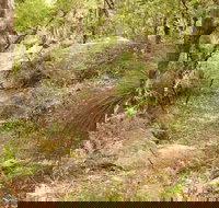Mount Carnarvon Walking Track - C Tourism
