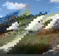 Mudgee Observatory - C Tourism