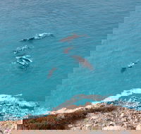 Nullarbor National Park - C Tourism