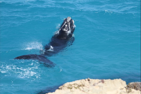 Nullarbor National Park - C Tourism 2