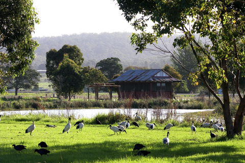 Panboola Wetlands - C Tourism 1