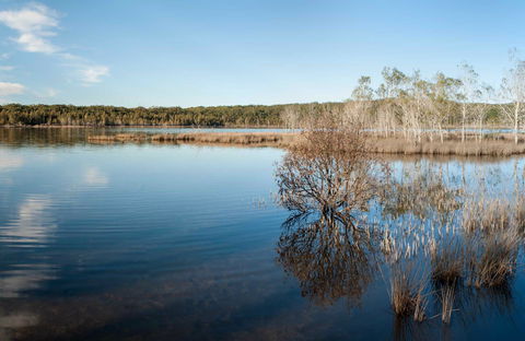 Pattimores Lagoon - C Tourism 0