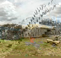 Patons Hut walking track - C Tourism