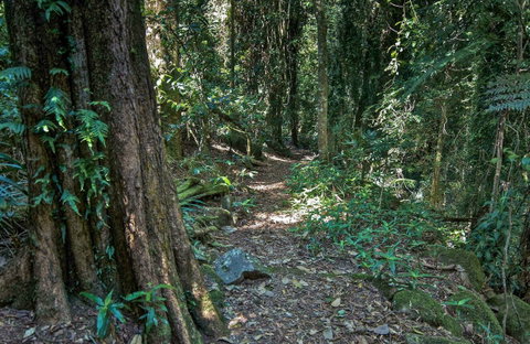 Pholis Gap Walking Track - C Tourism 0