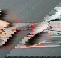 Phoenix Creations - C Tourism