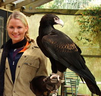 Raptor Domain - C Tourism