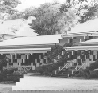 Razorback - C Tourism