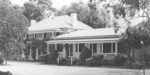 Razorback - C Tourism 0