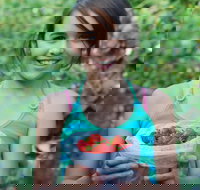 Ricardoes Tomatoes and Strawberries Farm Port Macquarie - C Tourism