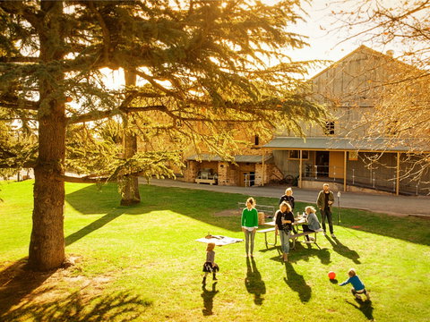 Sevenhill Cellars Weekday Tours - C Tourism 1