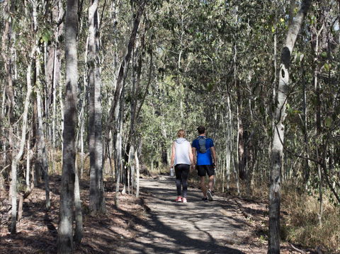 Six Mile Creek, Bluff Lookout And Little White Rock Trails - C Tourism 0