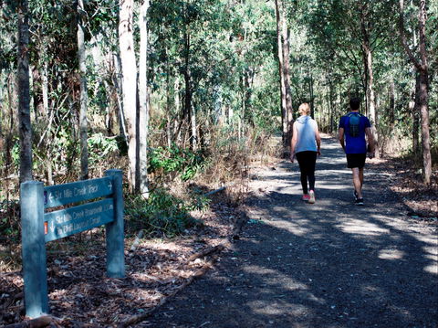 Six Mile Creek, Bluff Lookout And Little White Rock Trails - C Tourism 2