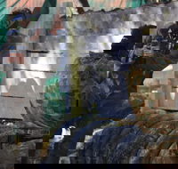 Skirmish Sunshine Coast Outdoor Paintball - C Tourism