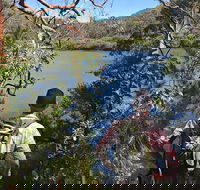 Sphinx Memorial to Bobbin Head Loop Track - C Tourism