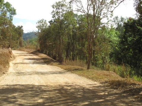 The Bloomfield Track - C Tourism 0