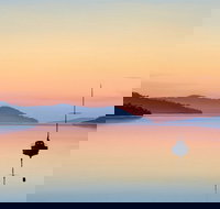 The Art of Richard Stanley Studio and Gallery - C Tourism