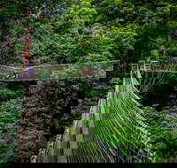 Thunderbird Park  - Tamborine Mountain Gold Coast Region - C Tourism