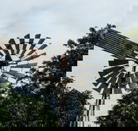 Tinaberries - C Tourism