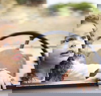 Toddler Thursdays at Werribee Open Range Zoo - C Tourism