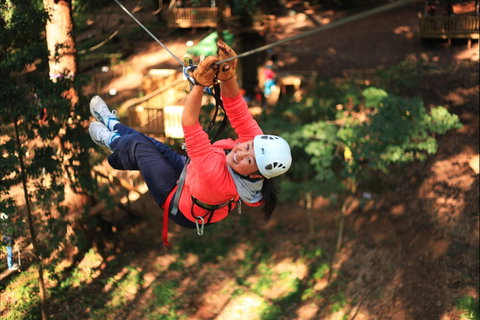 Trees Adventure - Glen Harrow Park - C Tourism 0