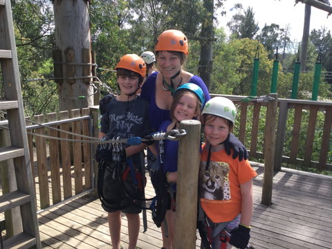 Trees Adventure - Glen Harrow Park - C Tourism 1