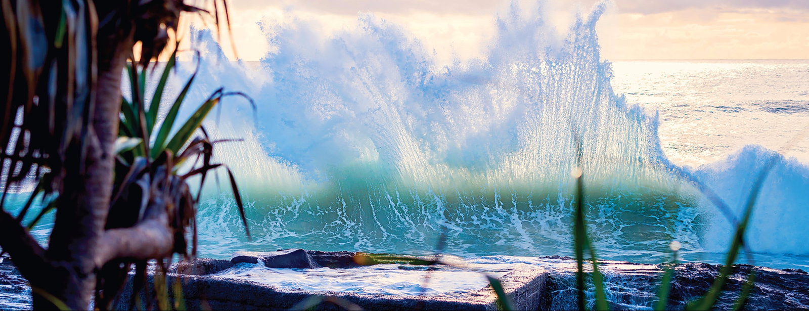 Tugun QLD C Tourism
