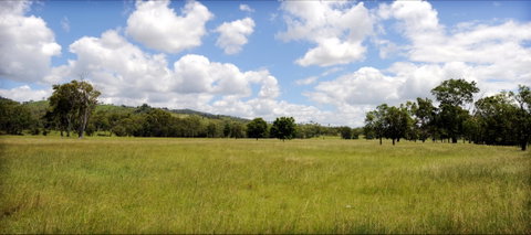 Ubobo - C Tourism 0